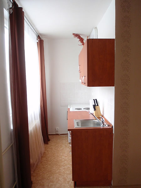 Levné ubytování v Praze - Apartmán 306 - kuchyňka