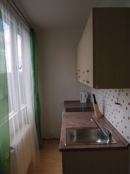 Levné ubytování v Praze - Apartmán 206 - kuchyňka